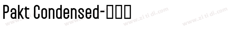 Pakt Condensed字体转换